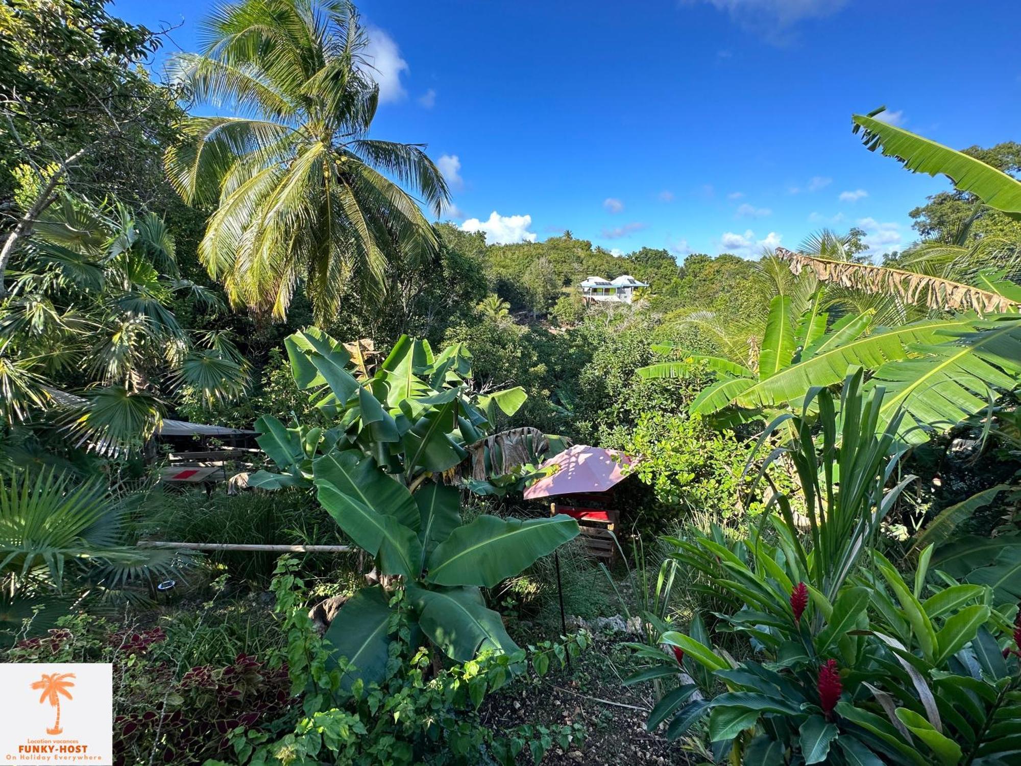 Ti Kaz Funky Host -T3 Vue Mer Premium 3 Etoiles - Village Vacances Sainte Anne Guadeloupe Esterno foto
